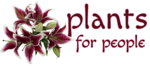 plants-for-people.de